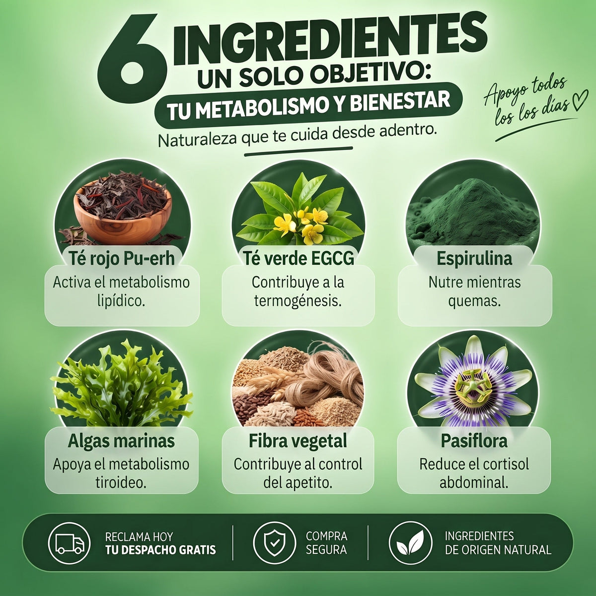 FATNOX · Quema nocturna